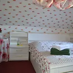 Arietta 3* Plauen